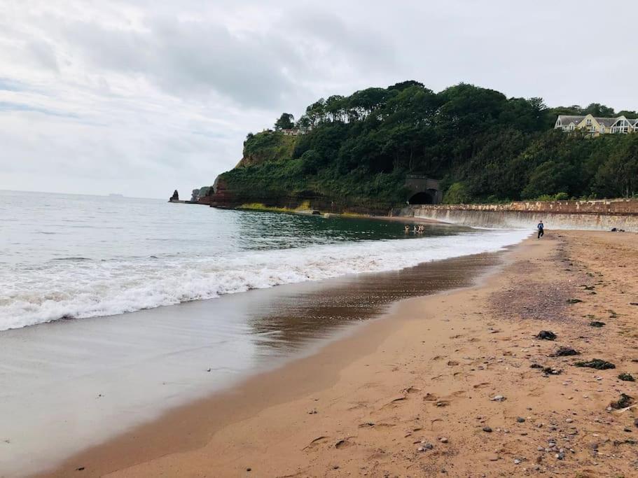 The Hidden House, Dawlishヴィラ エクステリア 写真