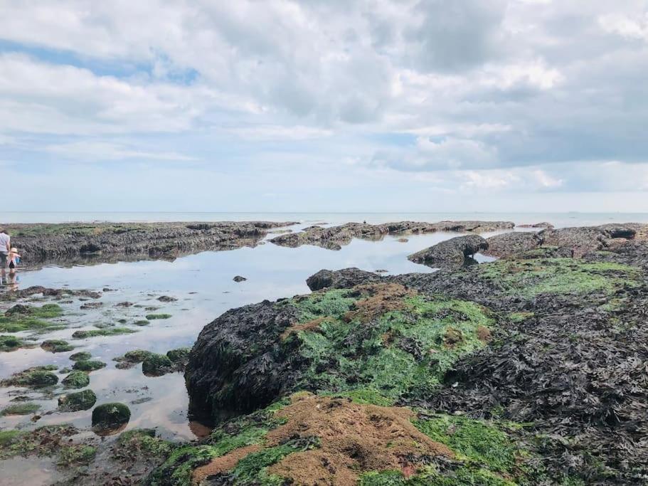 The Hidden House, Dawlishヴィラ エクステリア 写真