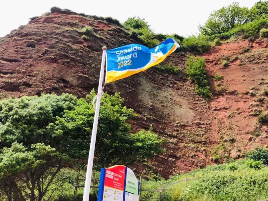 The Hidden House, Dawlishヴィラ エクステリア 写真